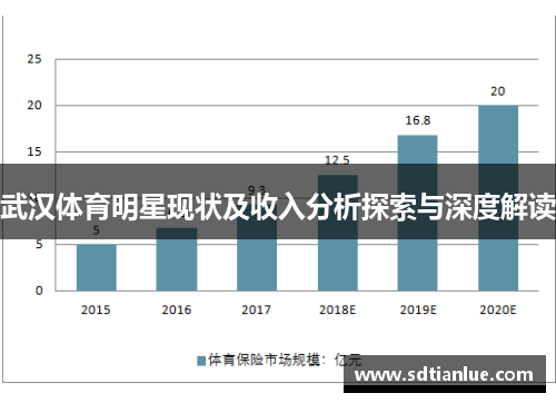 武汉体育明星现状及收入分析探索与深度解读
